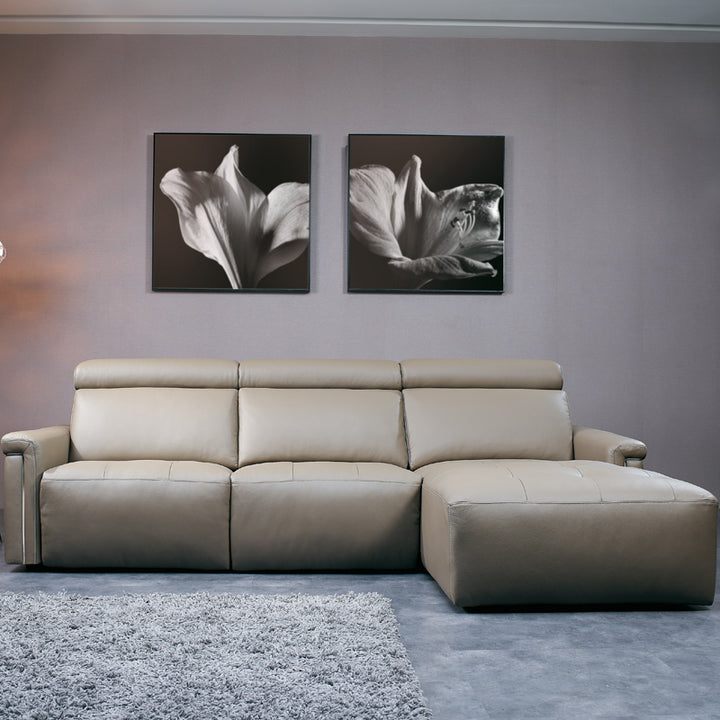 Beige sectional sofa in a room with two black and white floral artworks on the wall.