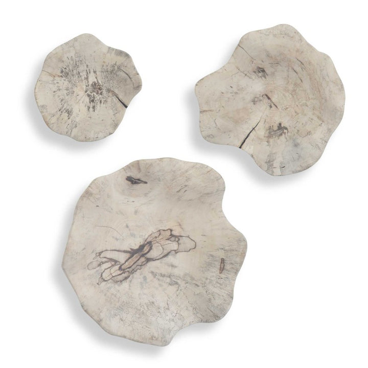 Teo - Wall Decor (Set of 3) - Bleached Wood