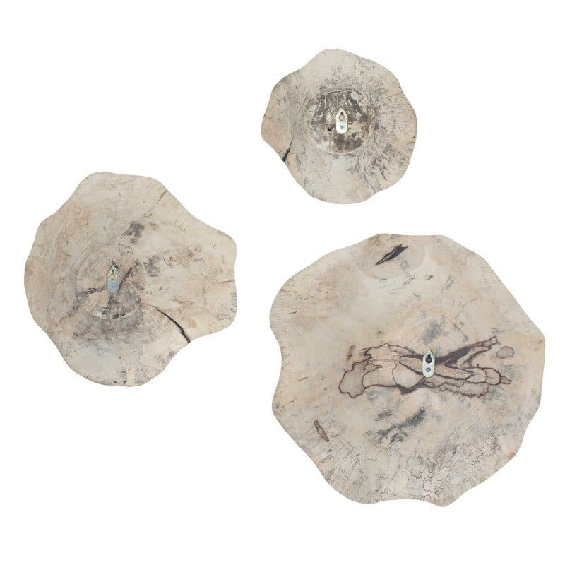 Teo - Wall Decor (Set of 3) - Bleached Wood