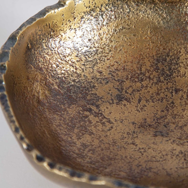 Lucky Coins - Wall Bowls (Set of 4) - Brass