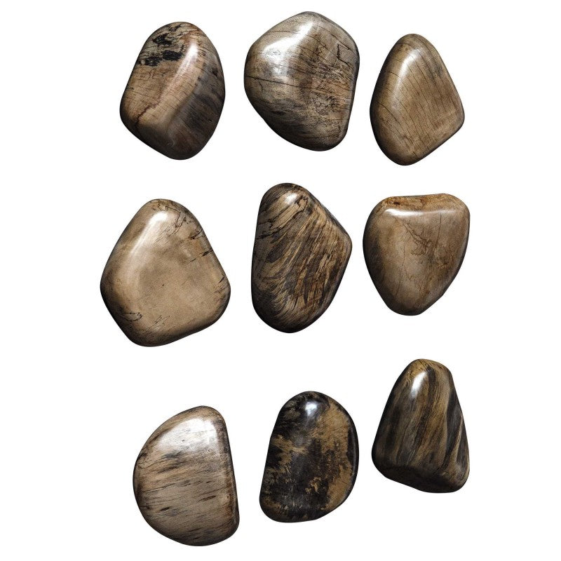 Pebbles - Walnut Wood Wall DÃ©cor (Set of 9) - Dark Brown