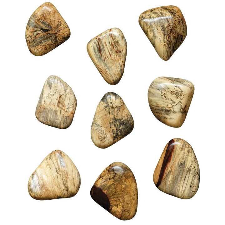 Pebbles - Blonde Wood Wall DÃ©cor (Set of 9) - Light Brown