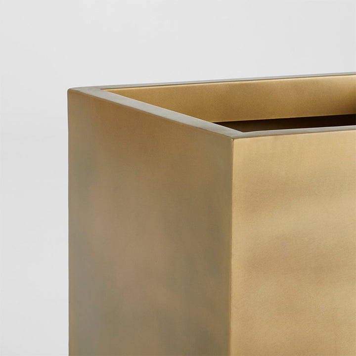 Aster Planter