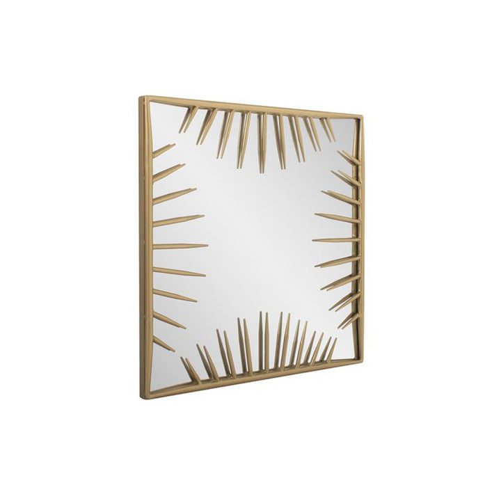The Robin Baron Mirror