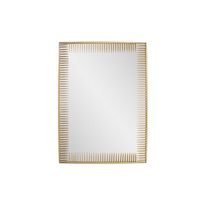 The Robin Baron Mirror