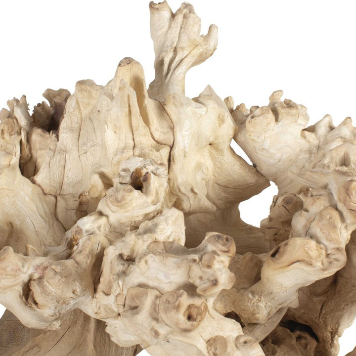 Elemental Root - Outdoor Sculptures (Set of 2) - White