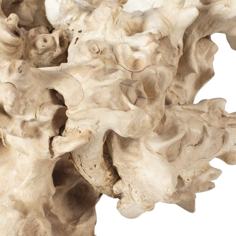 Elemental Root - Outdoor Sculptures (Set of 2) - White