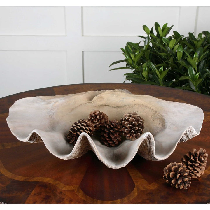 Clam - Shell Bowl - Beige