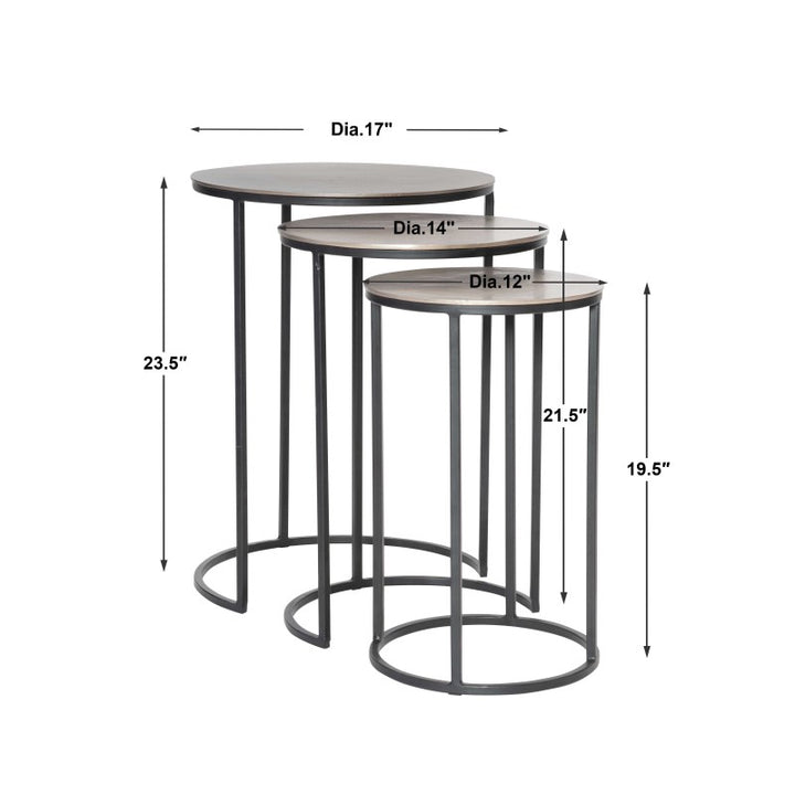 Erik - Metal Nesting Tables (Set of 3) - Dark Gray