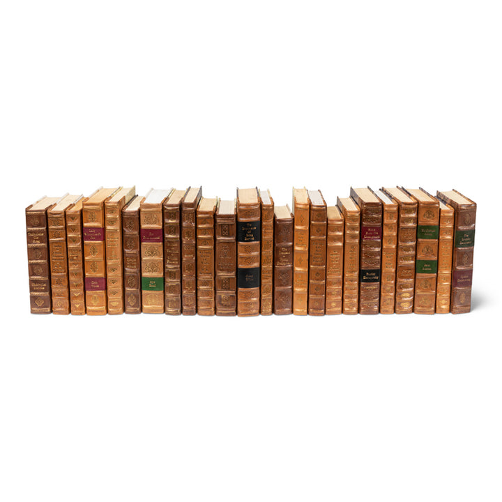 Faux Tan Leather Books