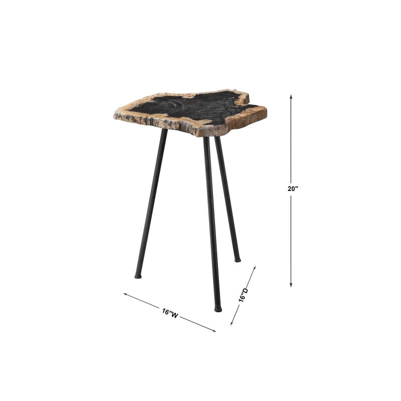 Mircea - Petrified Wood Accent Table - Black & Light Brown