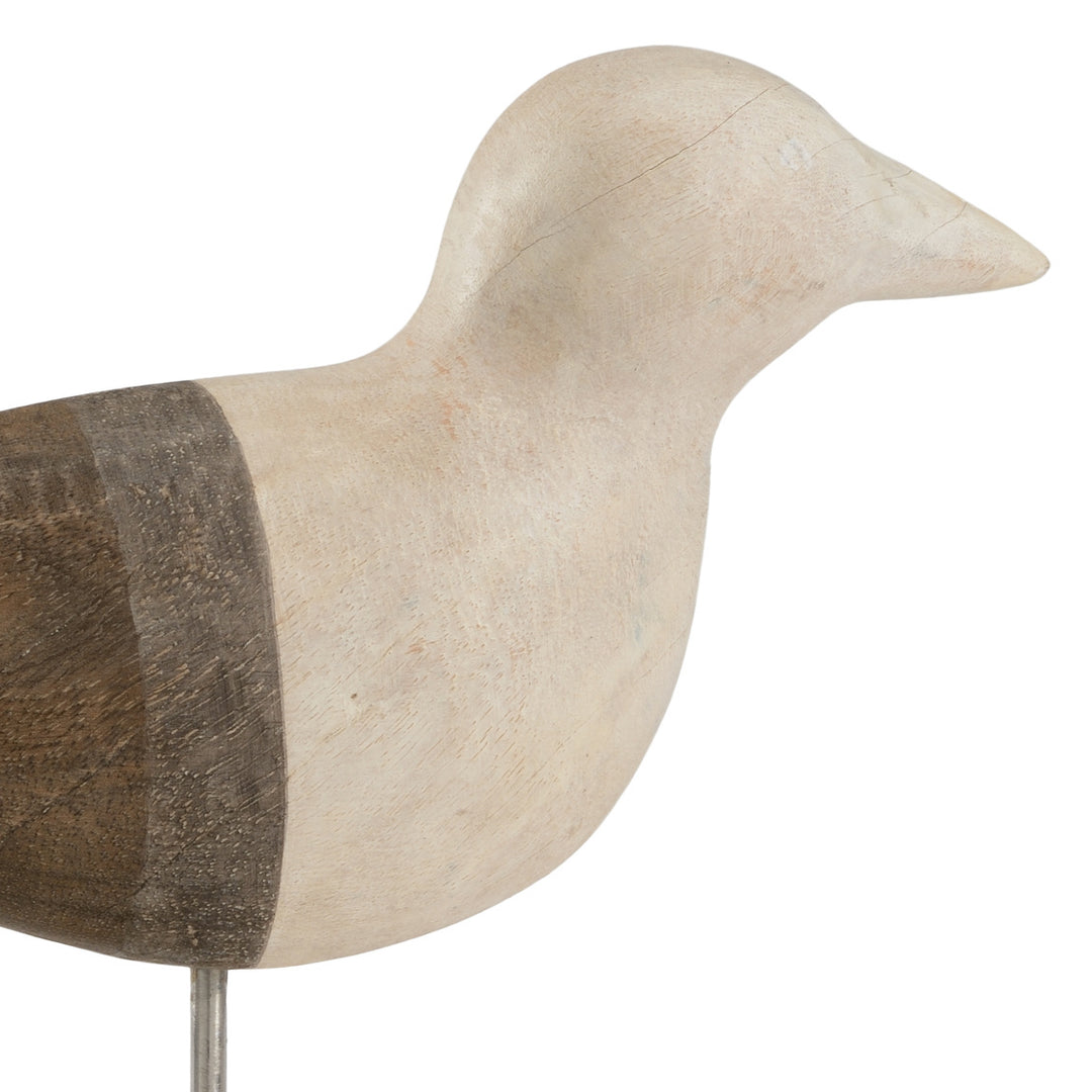 Shorebird (Sm)
