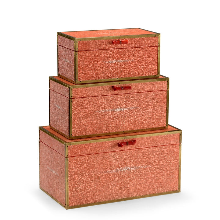 Cousteau Boxes - Coral (S3)