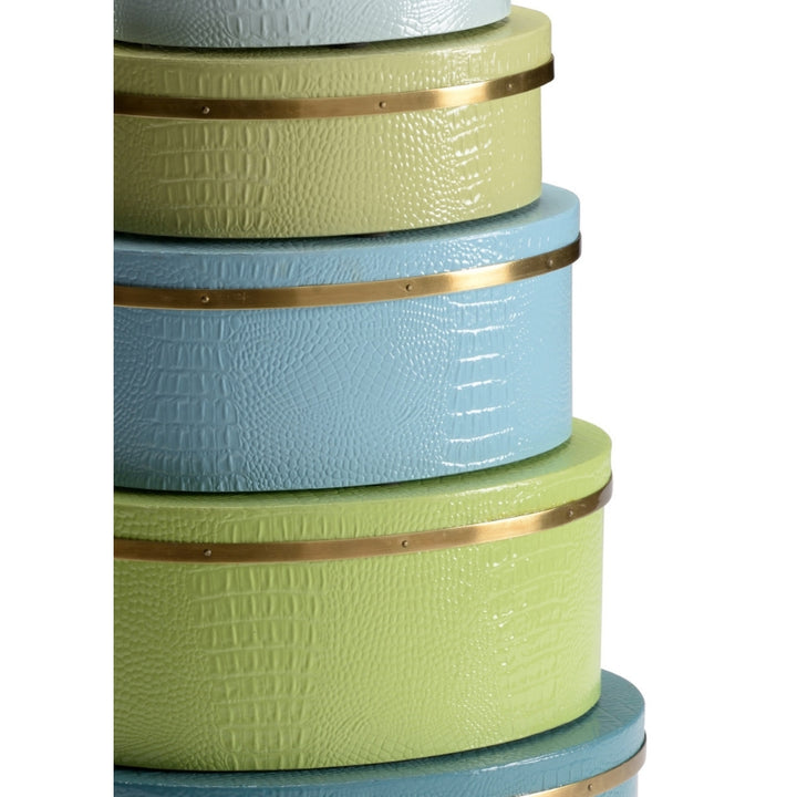 Oval Boxes - Blue/Green (S5)