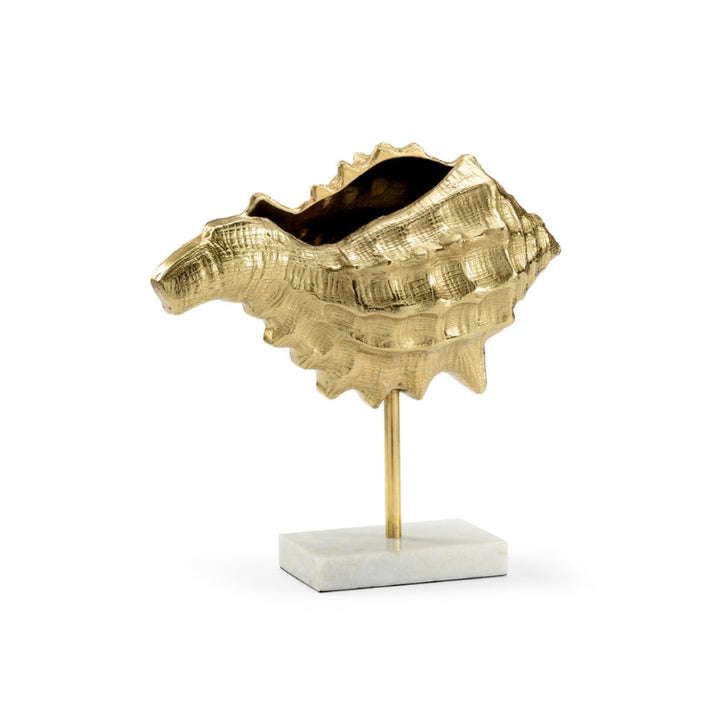 Conch - Gold