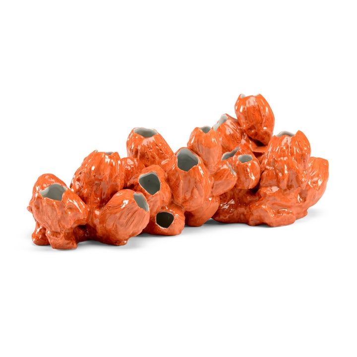 Barnacles - Orange