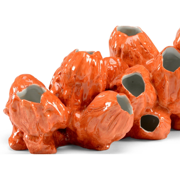 Barnacles - Orange