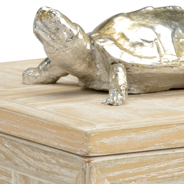 Tortoise Box (Sm)