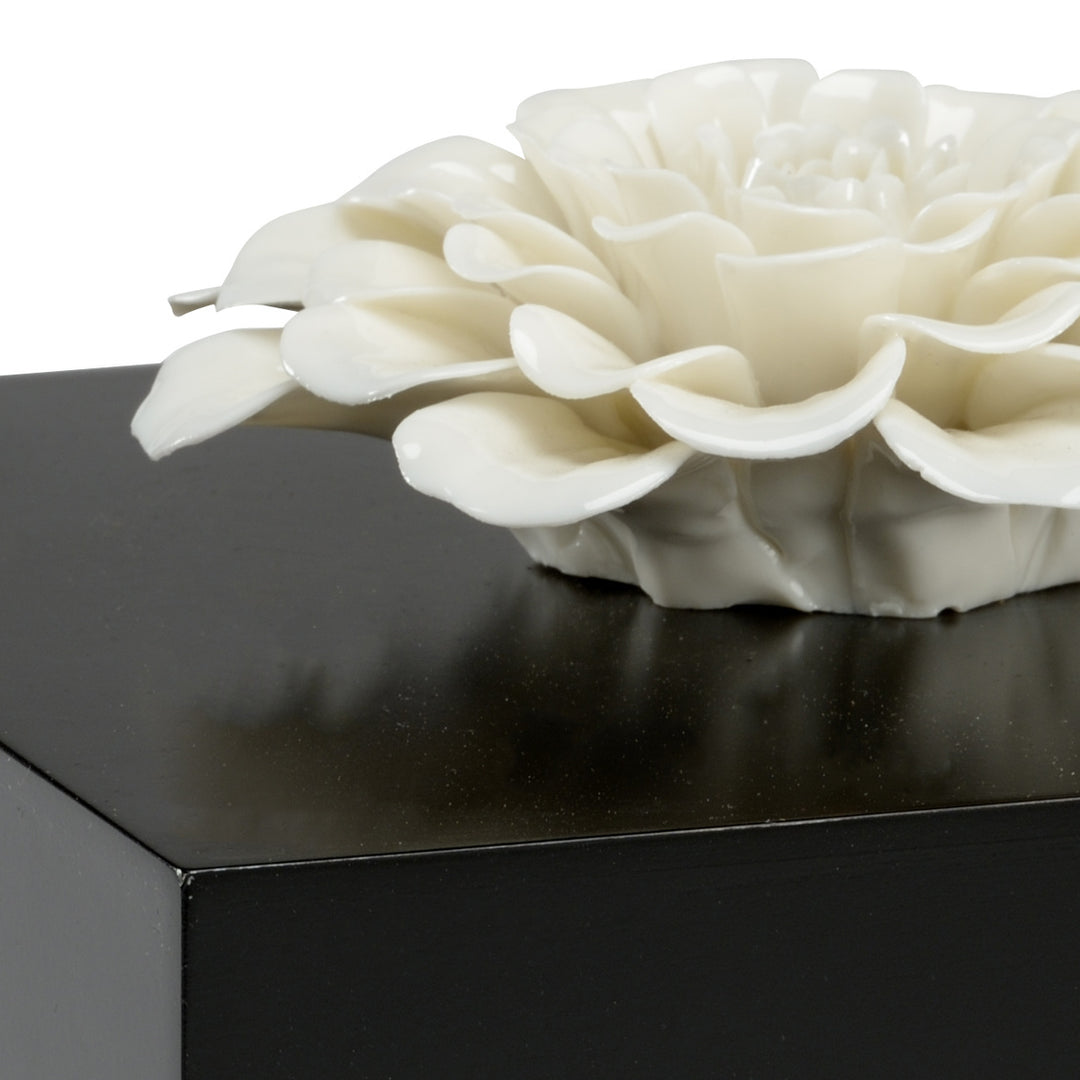 Zinnia Box