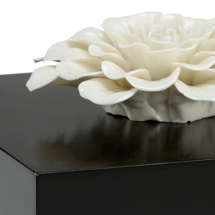 Zinnia Box