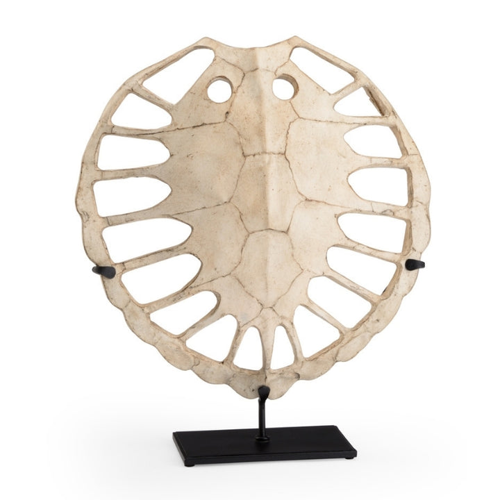 Sulcata Turtle