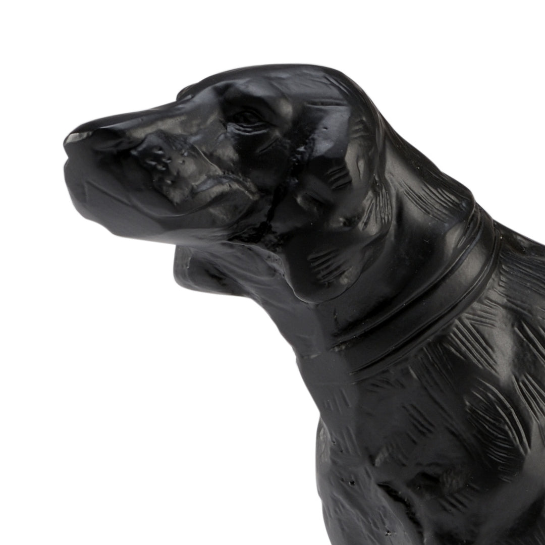 Teddy