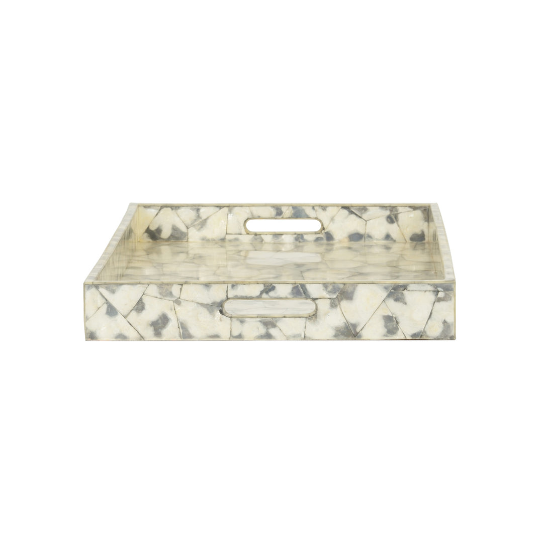 Shell Shock Tray