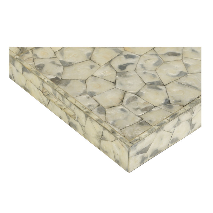 Shell Shock Tray