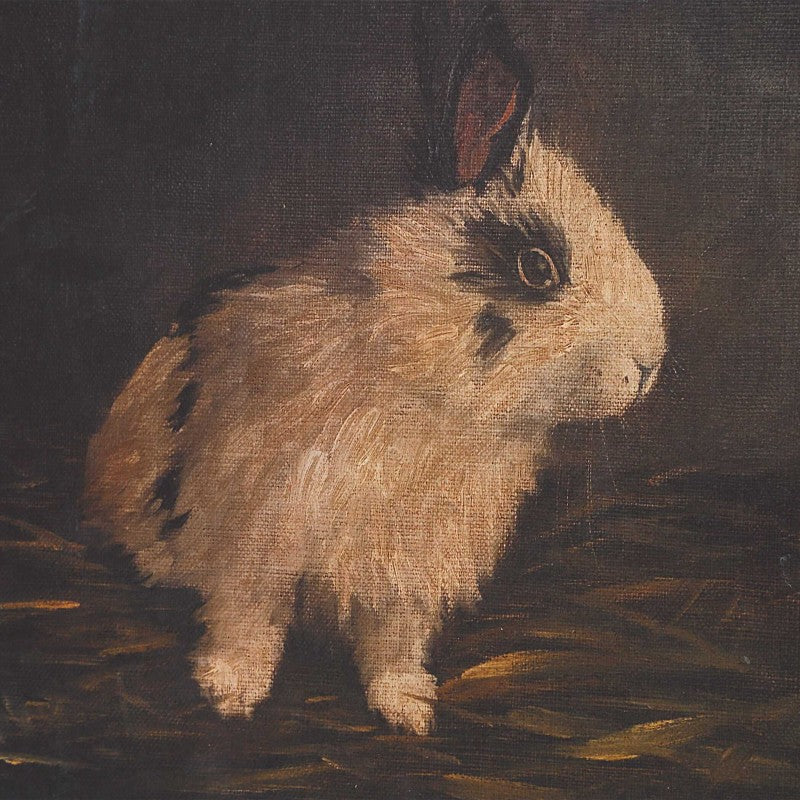 Resting Bunny - Framed Prints (Set of 9) - Dark Brown