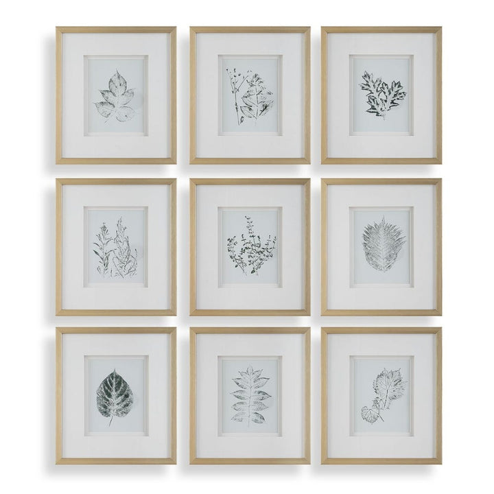 Nature's - Script Framed Botanical Prints (Set of 9) - Gold / Green / White