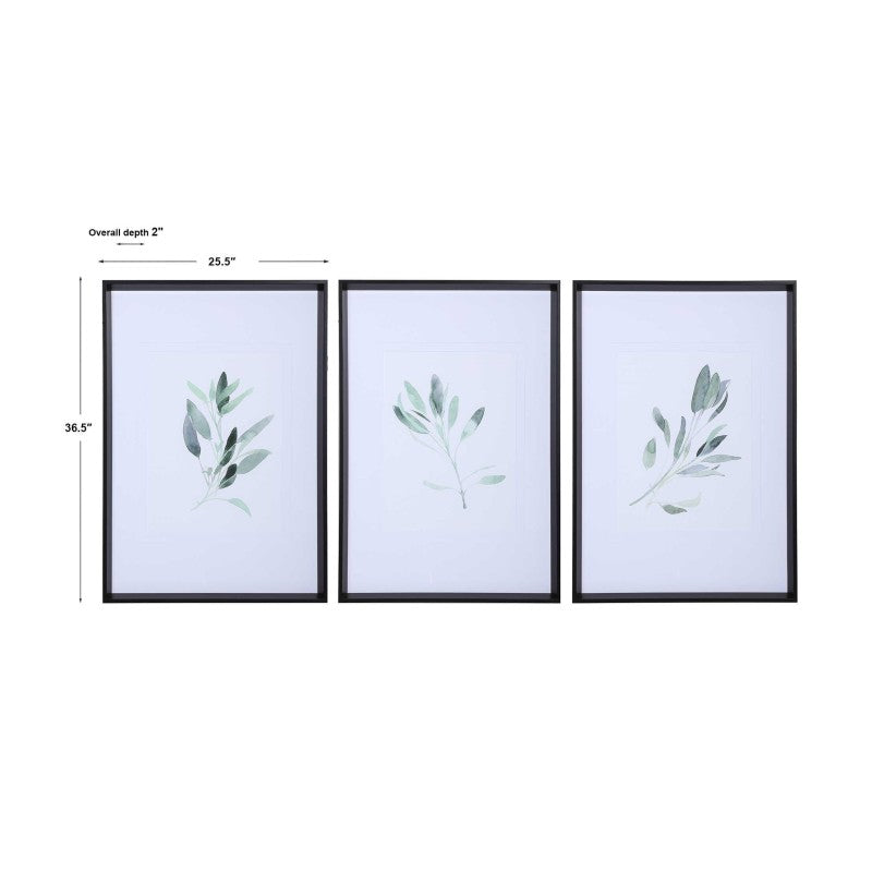 Simple Sage - Watercolor Prints (Set of 3) - White