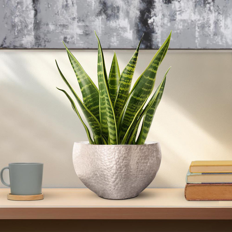 The Espen Vase