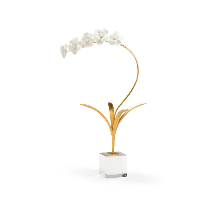 Orchid In Stand