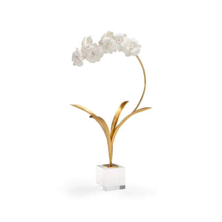 Small Orchid On Stand