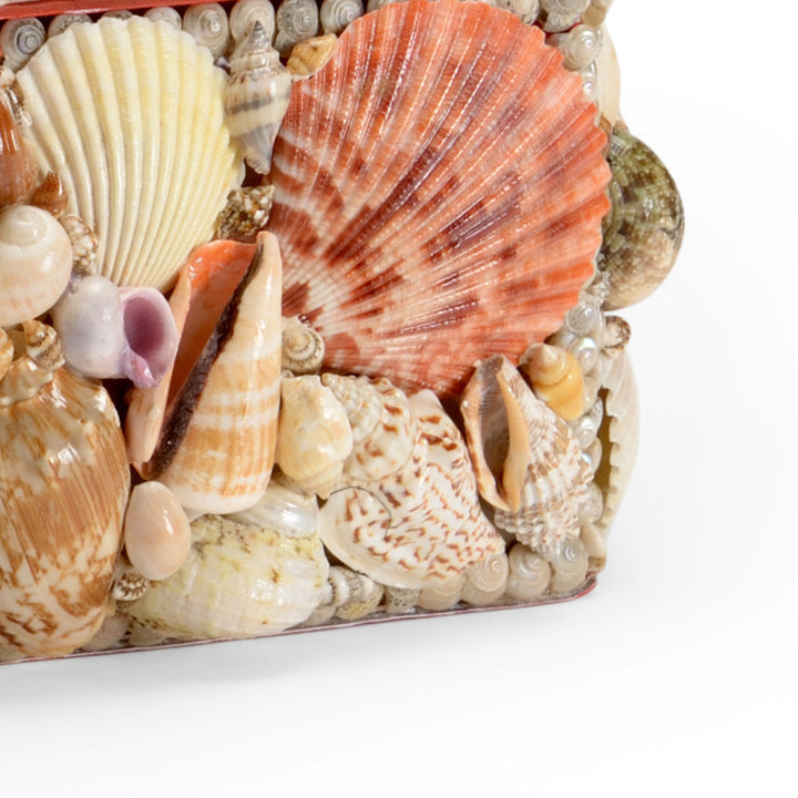 Large Shell Box