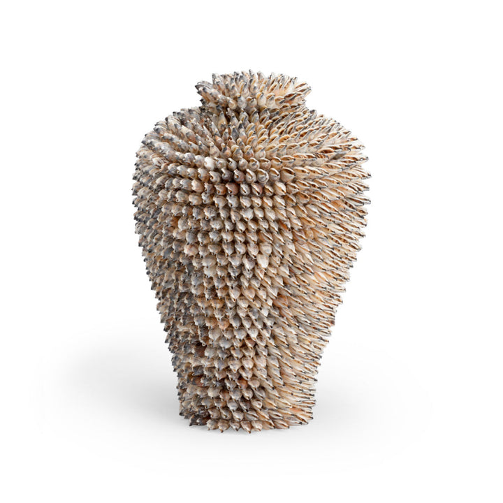 Strombus Shell Vase