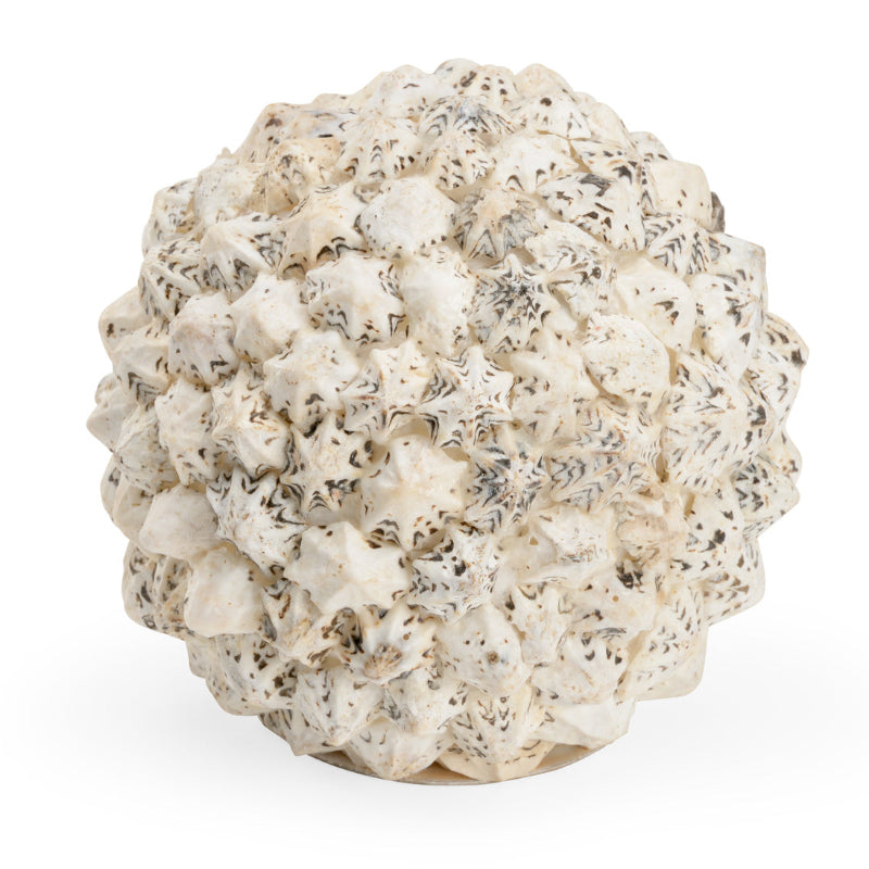 Shell Ball (Med)