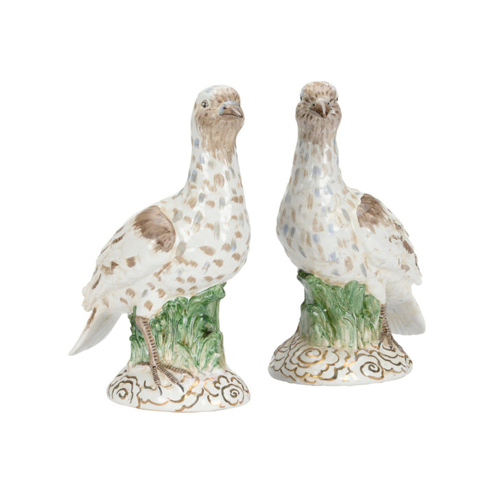Terns (Pr)