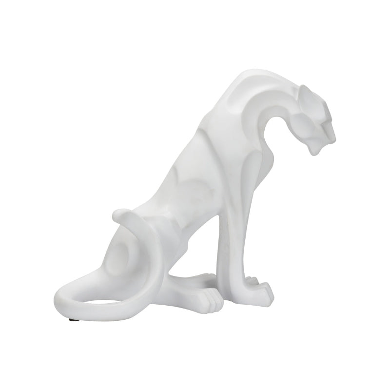 Cat - White