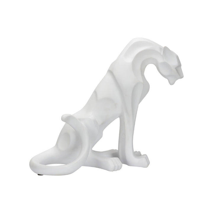 Cat - White