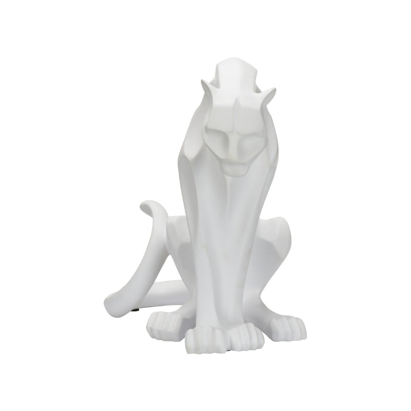 Cat - White