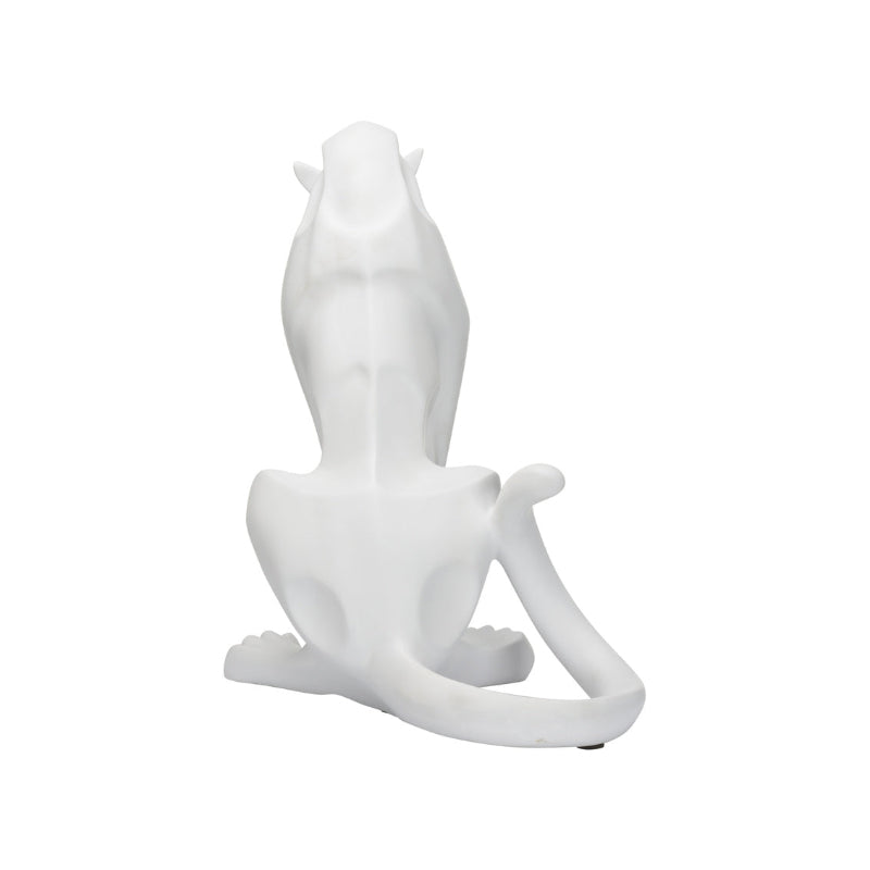 Cat - White