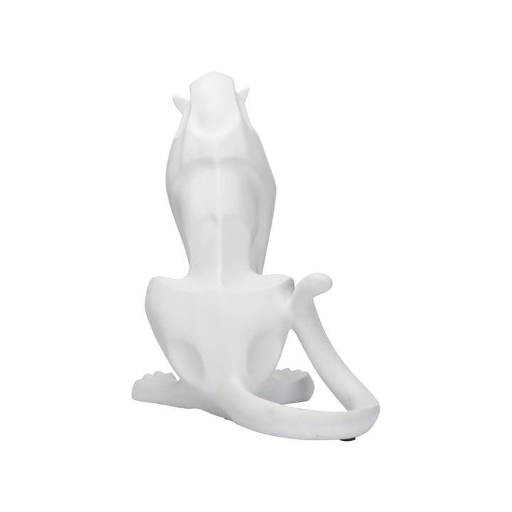 Cat - White