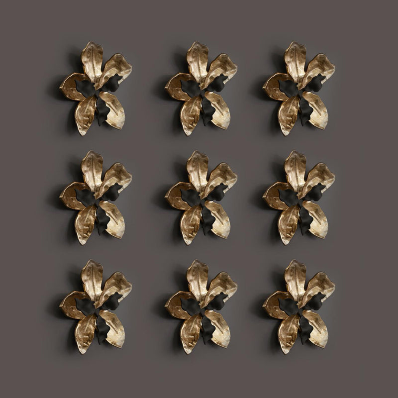 Orchid