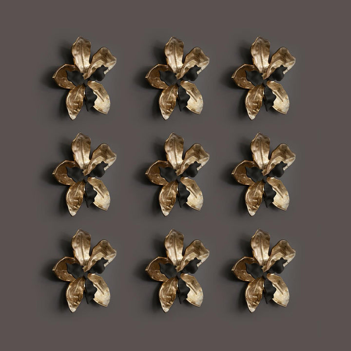 Orchid