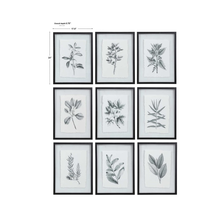 Farmhouse Florals - Framed Prints (Set of 9) - Black