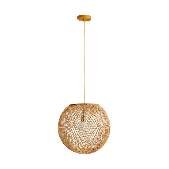 Indiana One Light Pendant