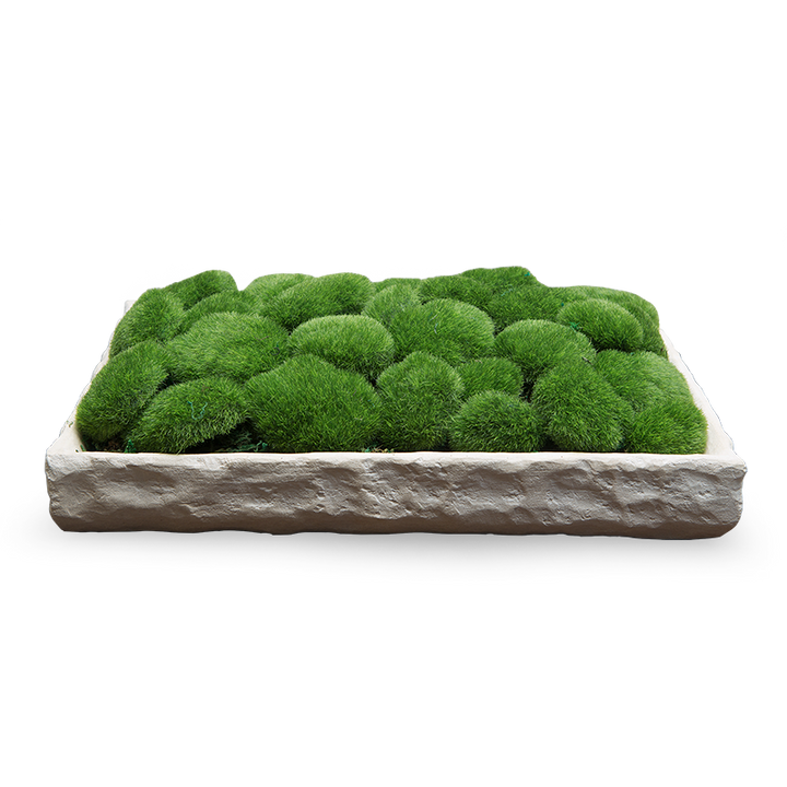 PLATEAU