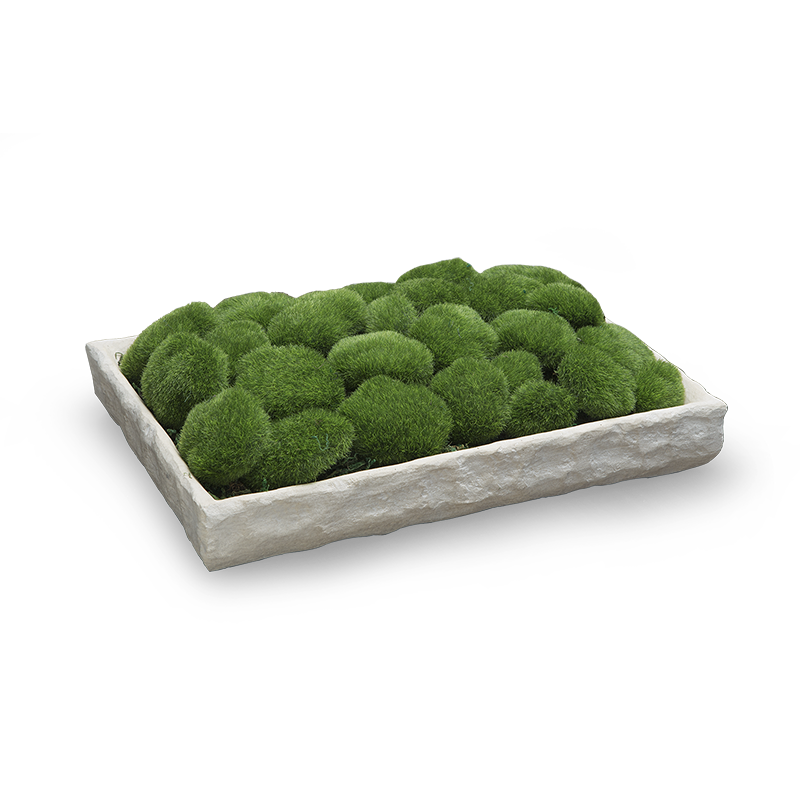 PLATEAU