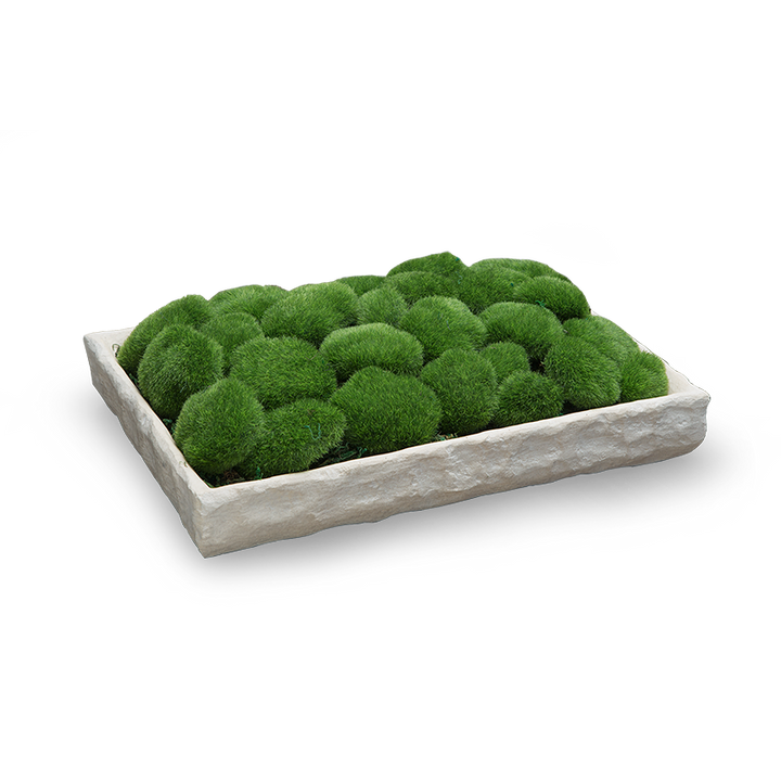 PLATEAU